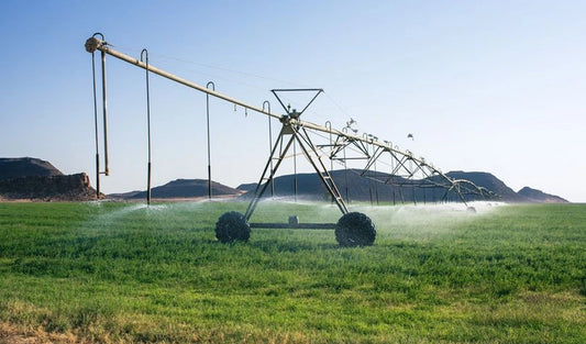 Utilizing Ozone Treatment for Enhanced Disinfection of Natural Agriculture Water