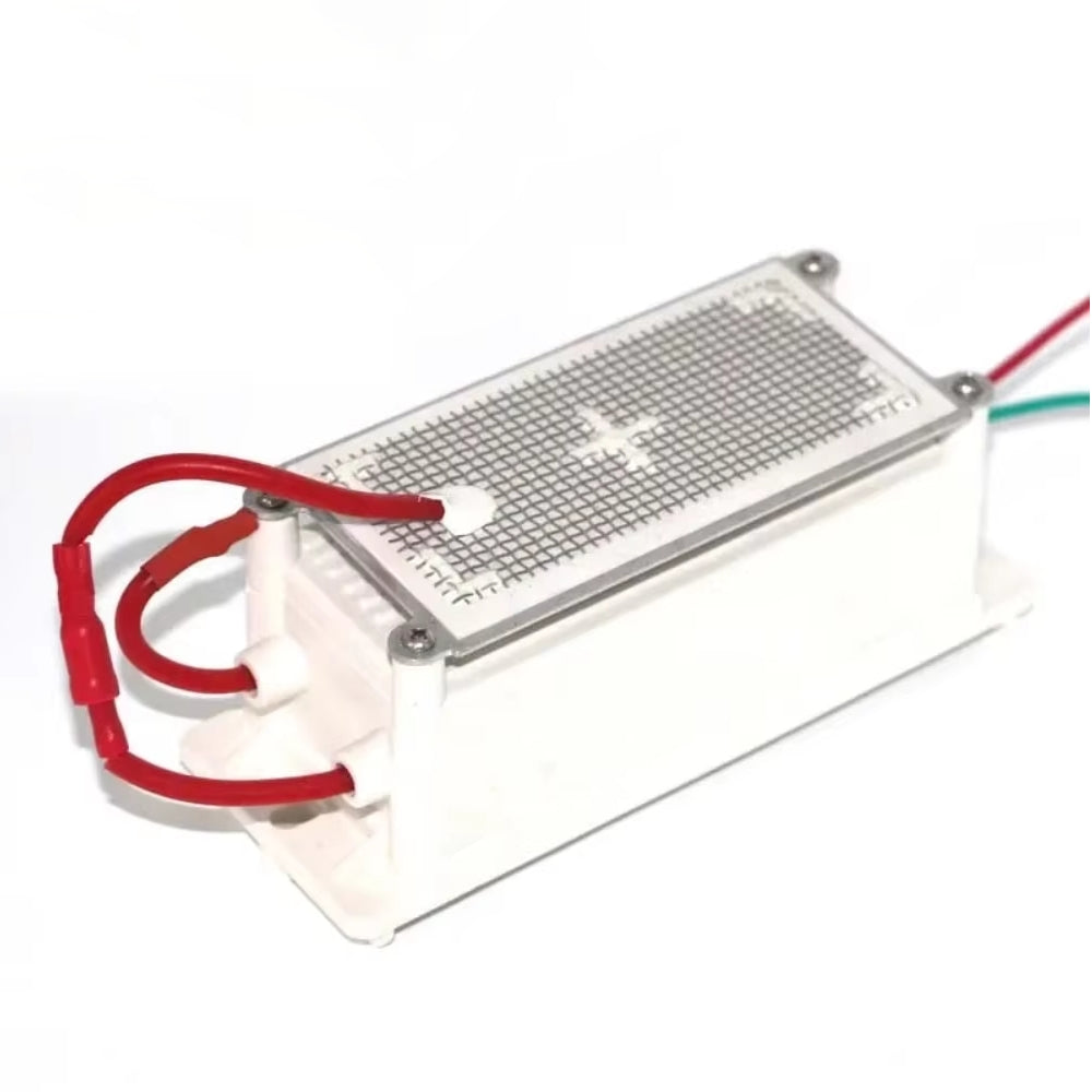 Serie de placas de ozono de acero inoxidable de 5 g/10 g/15 g/20 g/h