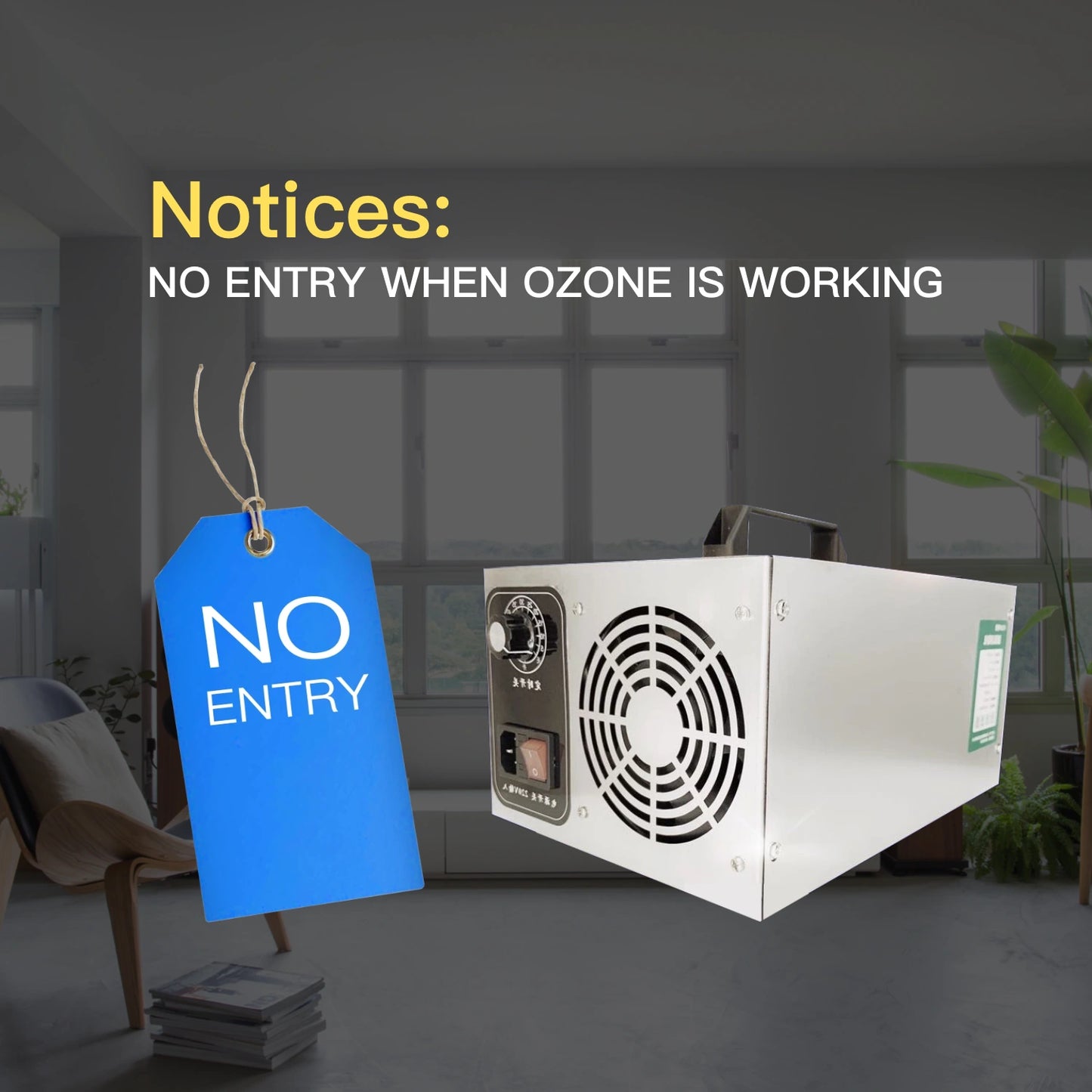 30-60g/h Commercial Ozone Generator Machine