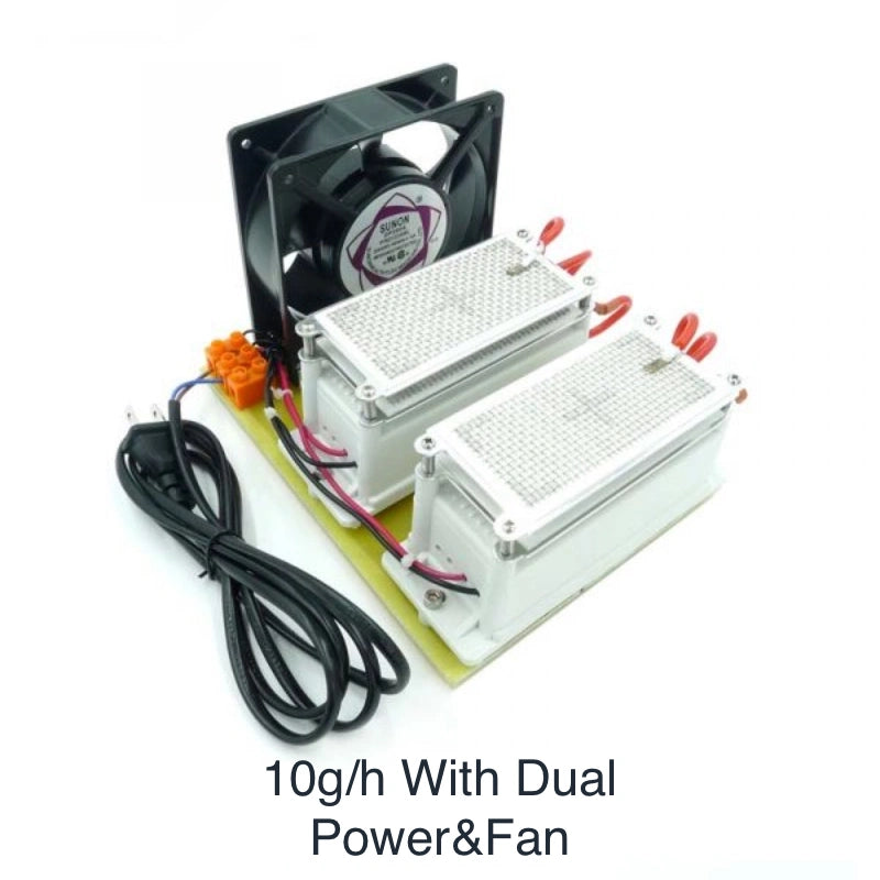 Generador de ozono de 5/10 g/h con fuente de alimentación de ozono, generador de ozono para coche