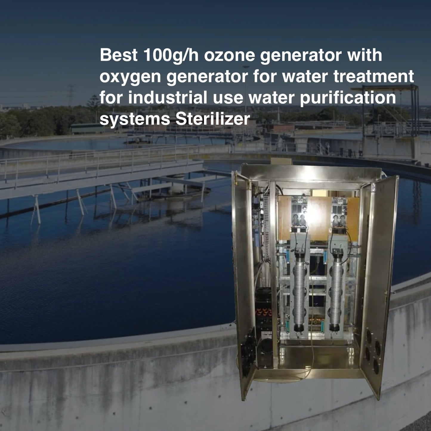 Best 100g/h ozone generator with oxygen generator for water treatment for industrial use water purification systems Sterilizer