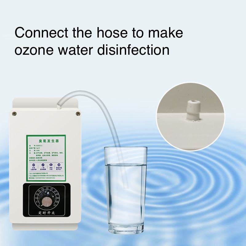 Fruit and Vegetable Sterilizer