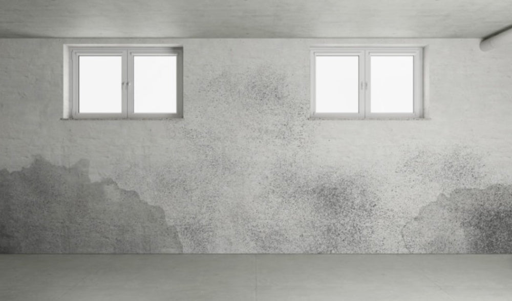 Benefits of Ozone in Fire, Water, Smoke, and Mold Restoration