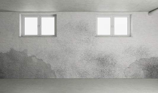 Benefits of Ozone in Fire, Water, Smoke, and Mold Restoration