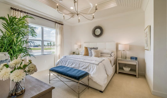 Here’s Why an Ozone Treatment in a Bedroom is Necessary