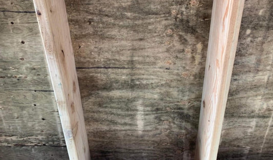 How Ozone Can Remove Mold and Odors in an Attic?