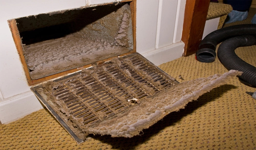 How to Enhance Indoor Air Quality in Cold and Flu Season