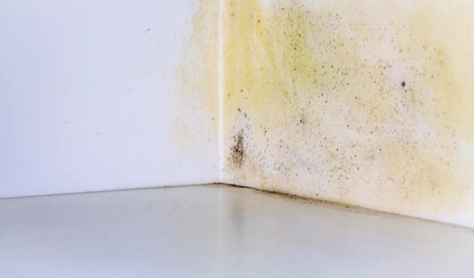 How to Get Rid of Mold and Musty Smell from a Wardrobe with Ozone?