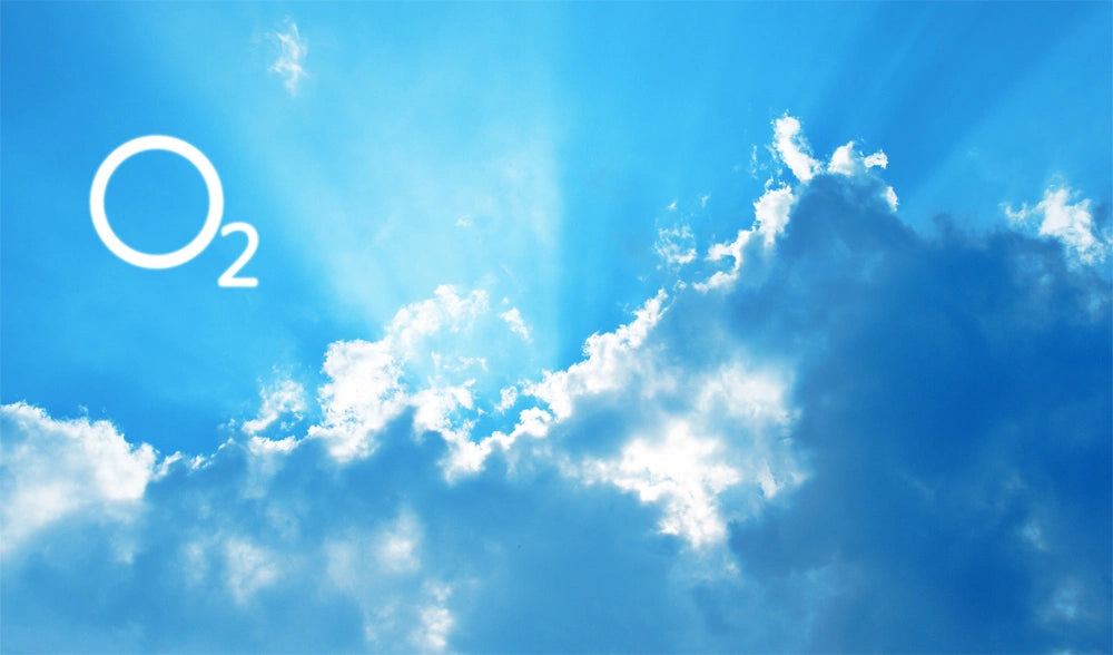 The Reason Why You Should Choose PSA Oxygen Generators from Sihon-Ozone