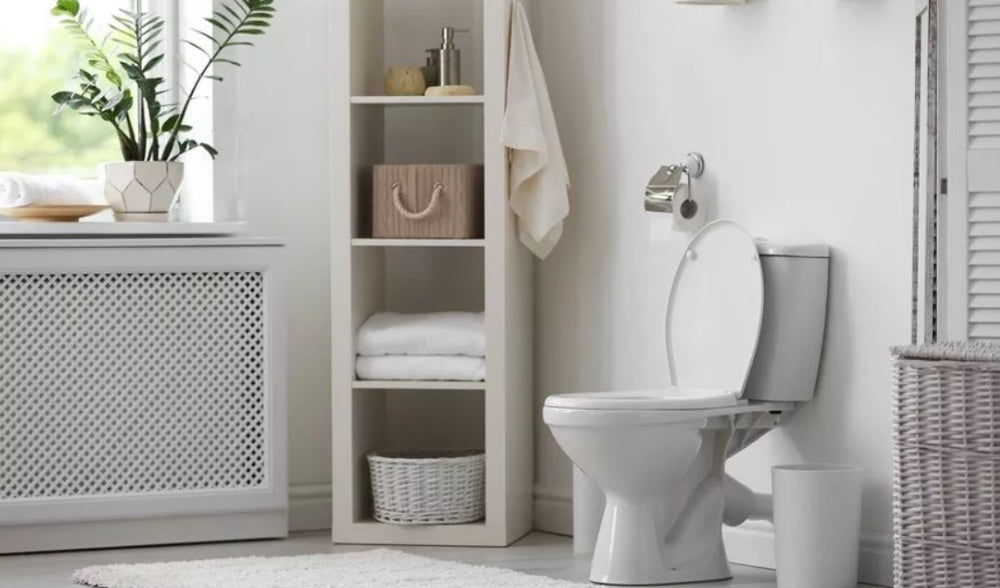 Why Ozone is the Easiest and Fastest Solution for Sewage Smell in a Bathroom