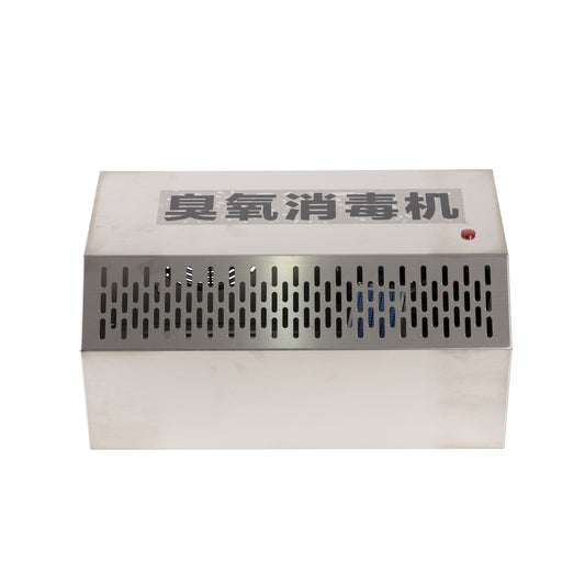 Wall-Mounted 20g/h Ozone Generator