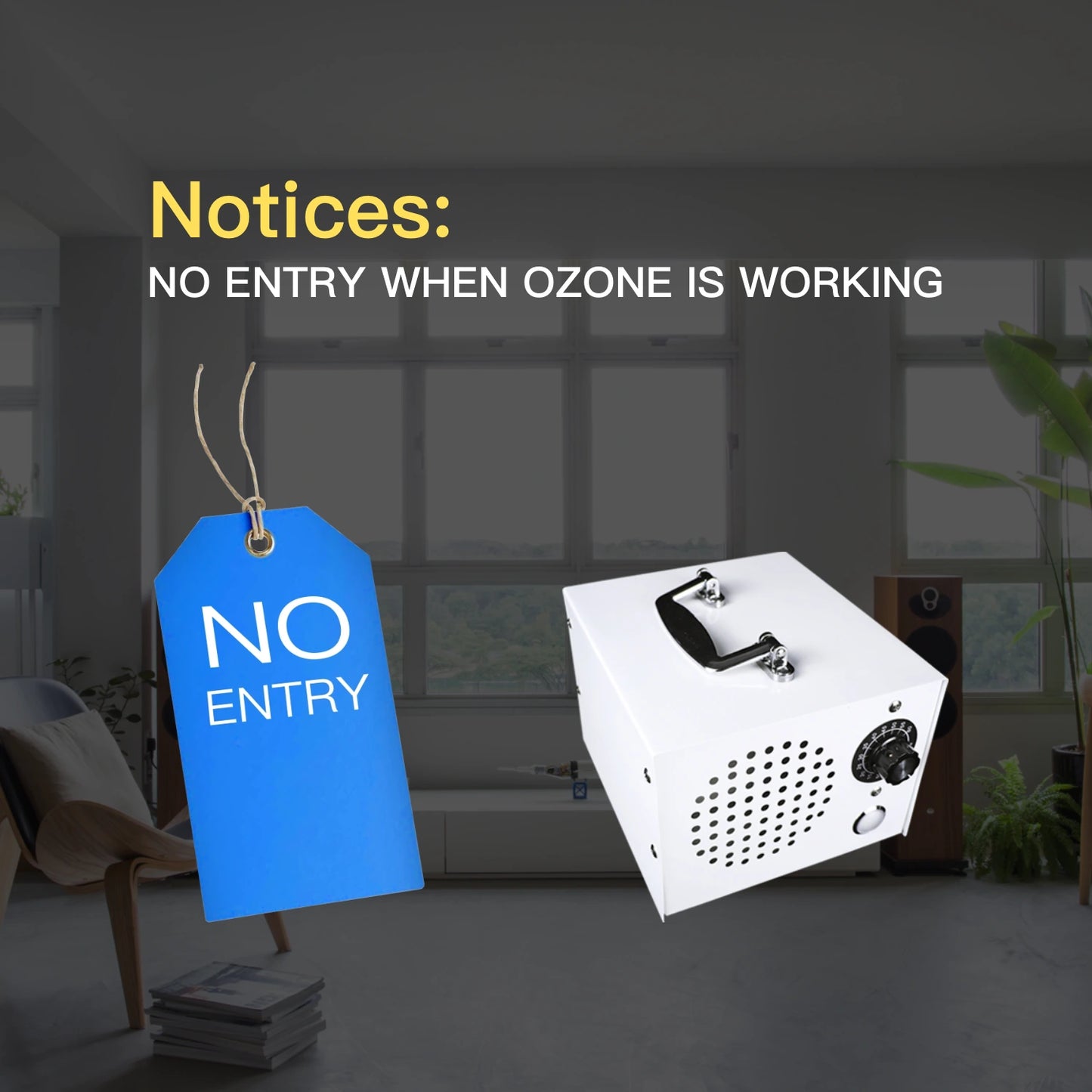 10g/h Ozone Generator,Ozone Machine Odor Removal