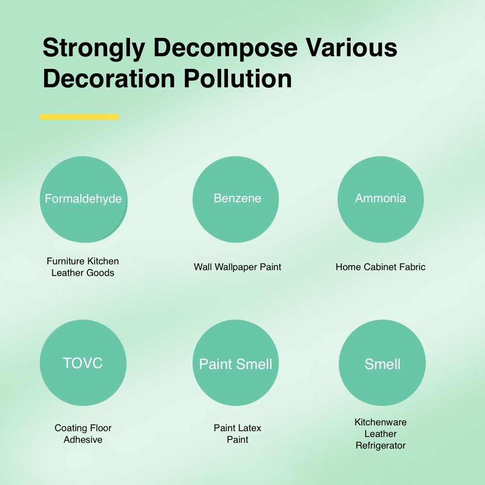 16000mg/h Ozone Generator for Car