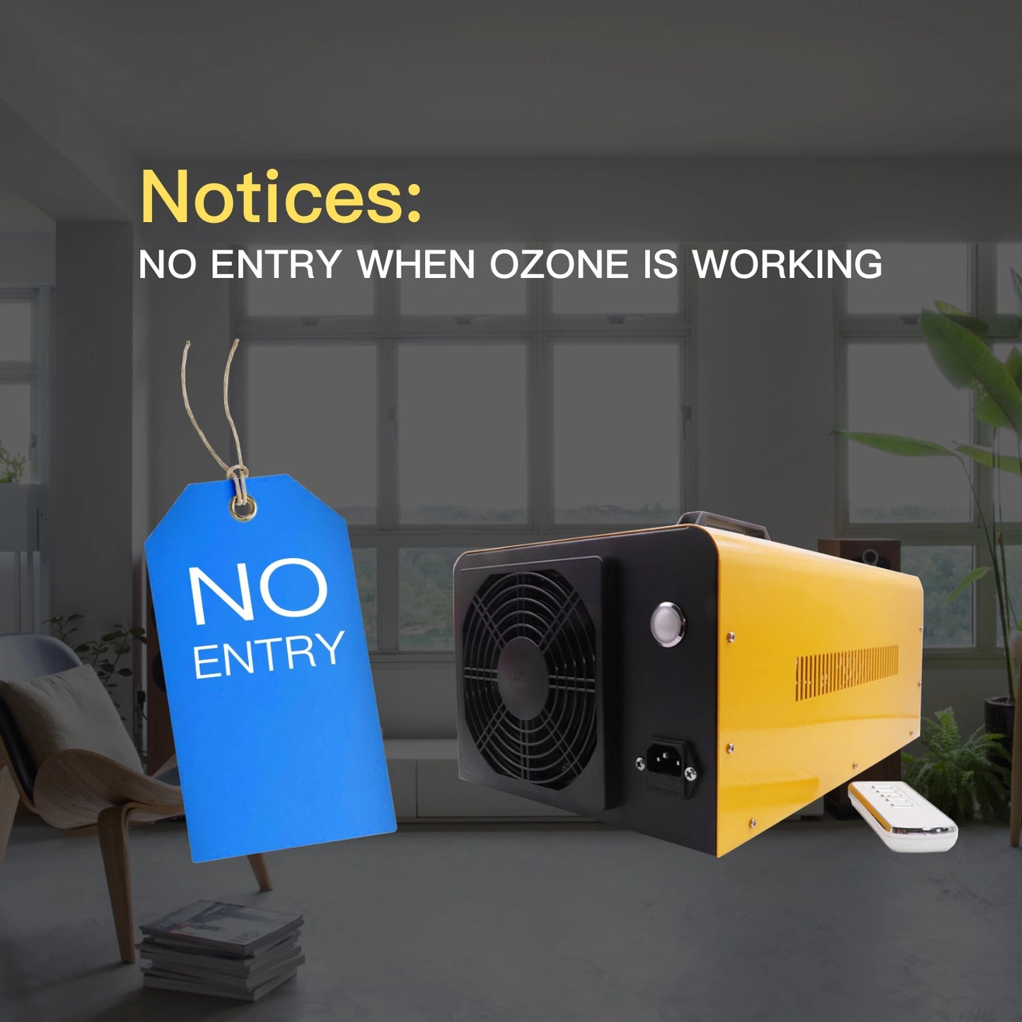 20g/h Ozone Generator, Ozone Machine Odor Removal