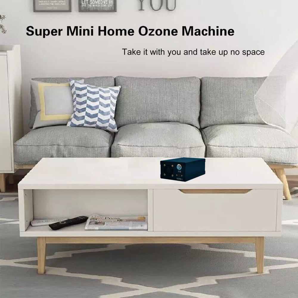 DC 12V 500mg/h Mini Ozone Air Purifier for Car and Shoe Cabinet