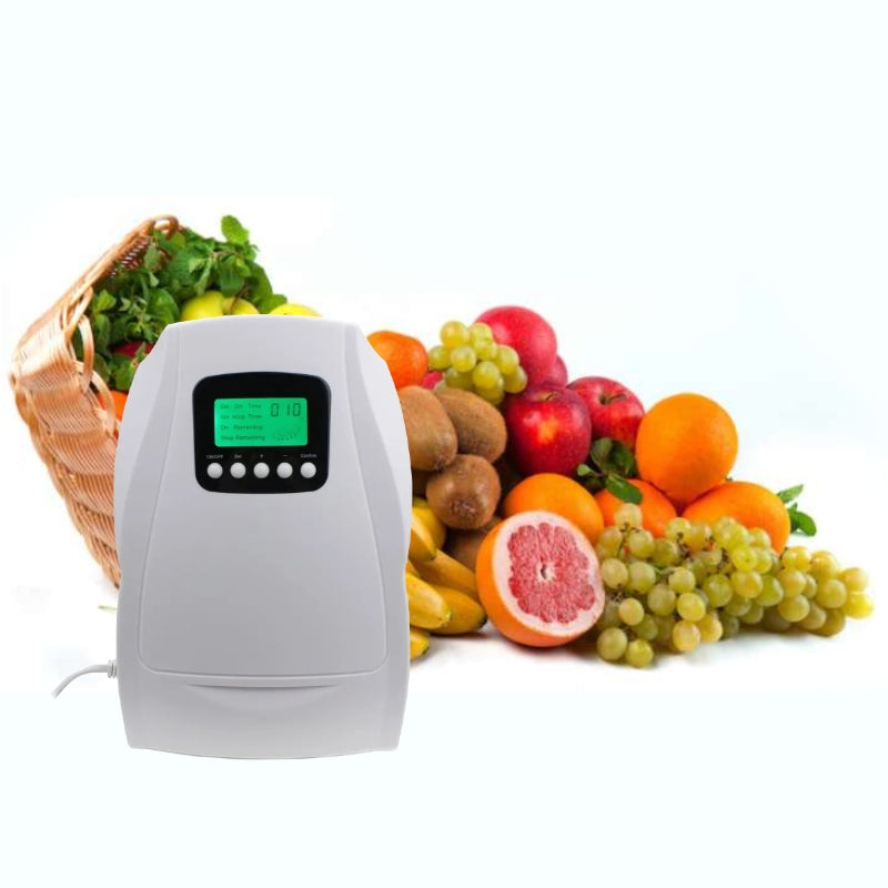 N202C-1 Ozone Generator for Kitchen
